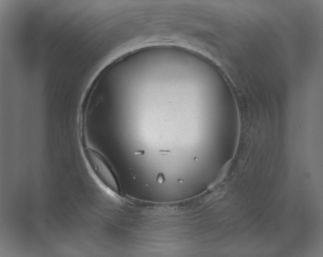 X0000073991519200609060944