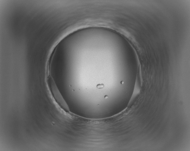 X0000073991520200609060944