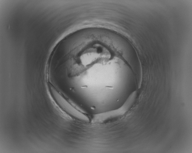 X0000073991522200609060944