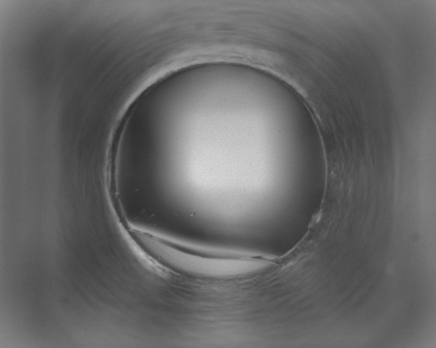 X0000073991523200609060944