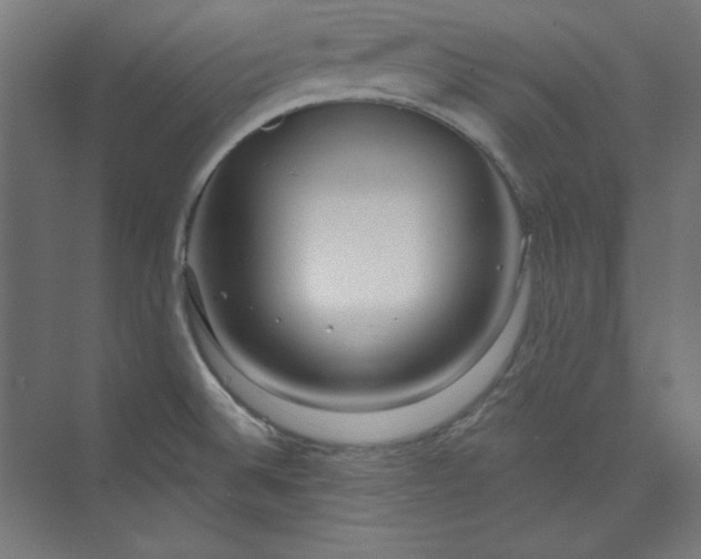 X0000073991524200609060944