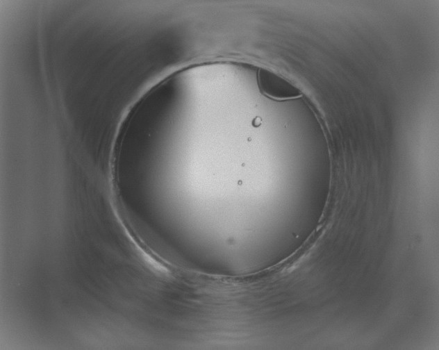 X0000073991525200609060944