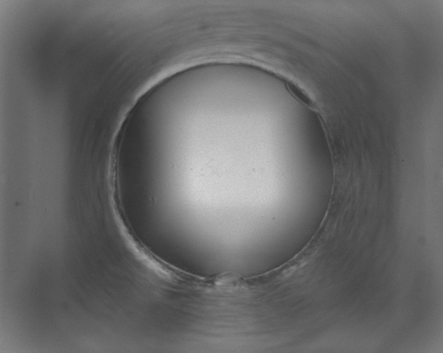 X0000073991526200609060944