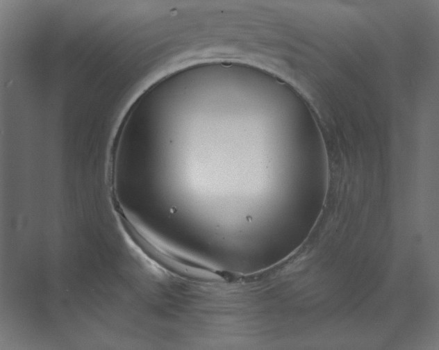 X0000073991527200609060944