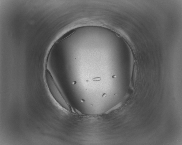 X0000073991528200609060944