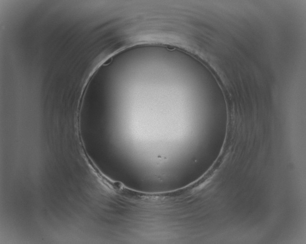 X0000073991529200609060944