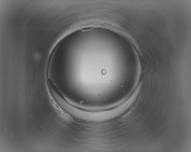 X0000073991530200609060944