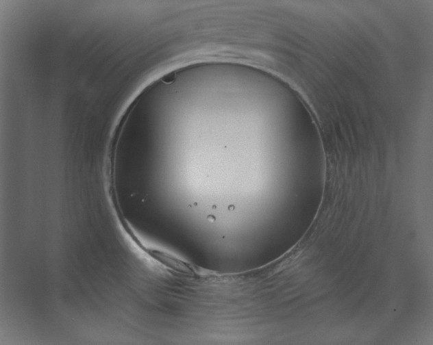 X0000073991531200609060944