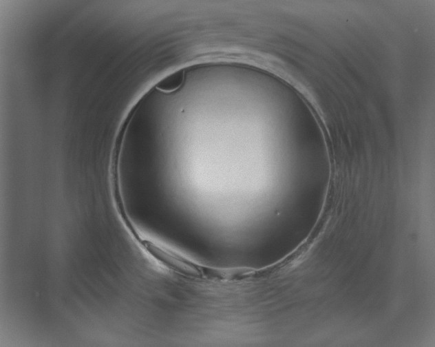 X0000073991533200609060944