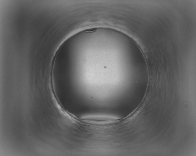 X0000073991534200609060944