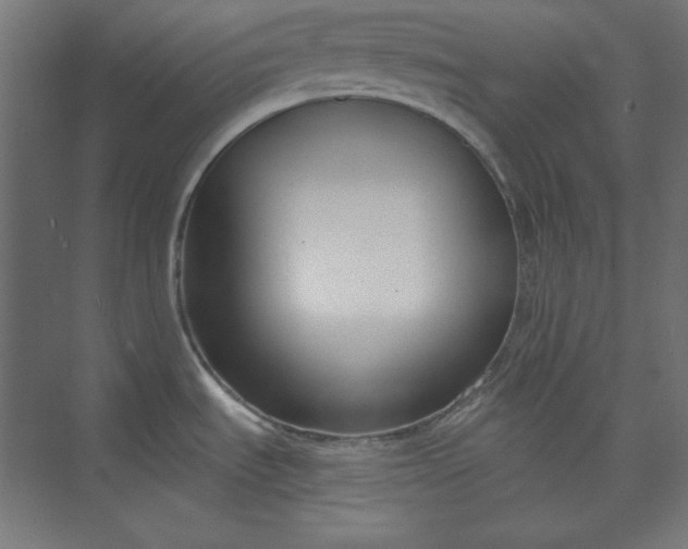 X0000073991535200609060944