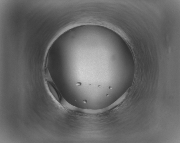 X0000073991536200609060945