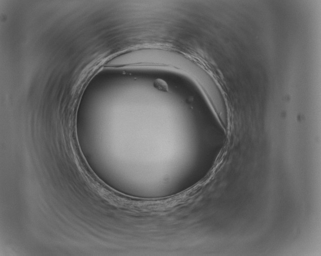 X0000073990001200609111545