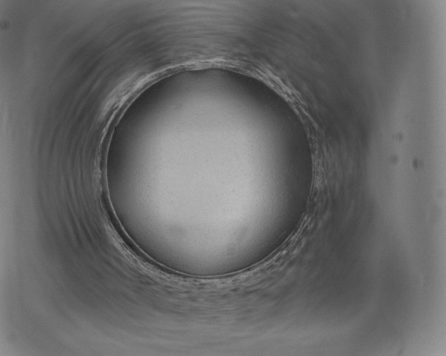 X0000073990002200609111545