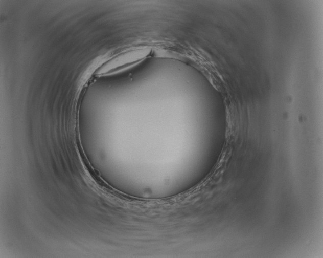 X0000073990003200609111545