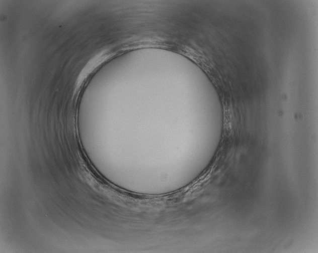 X0000073990004200609111545