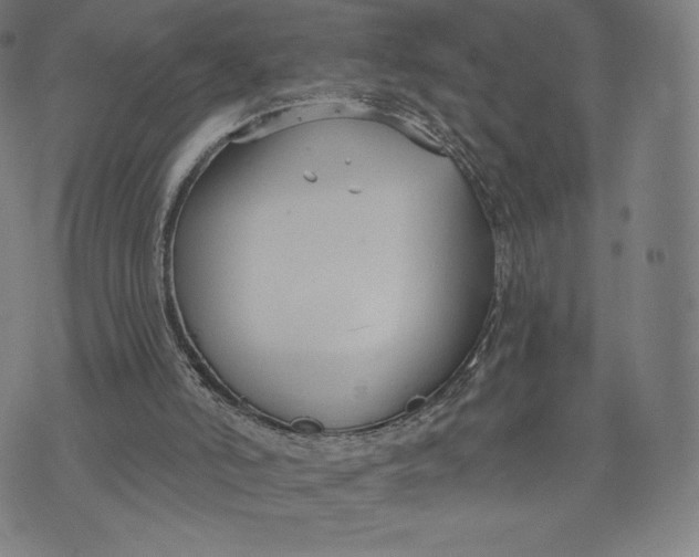 X0000073990006200609111545