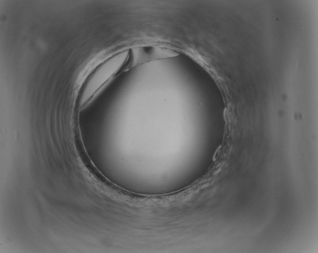 X0000073990007200609111545