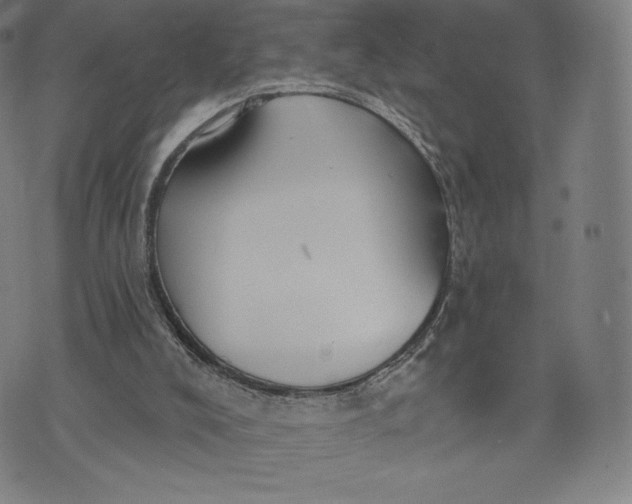 X0000073990008200609111545