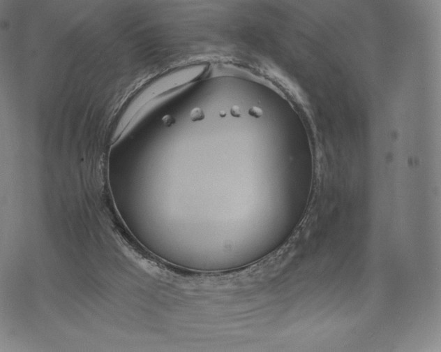 X0000073990009200609111545