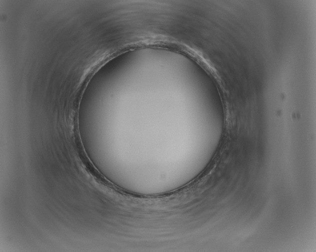 X0000073990010200609111545