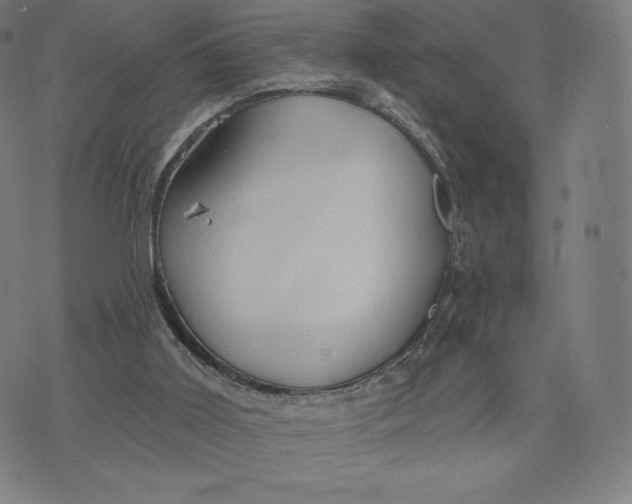 X0000073990011200609111545