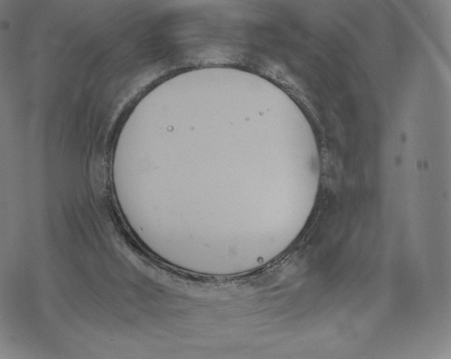 X0000073990012200609111545