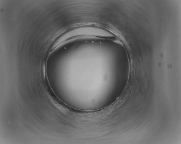 X0000073990013200609111545