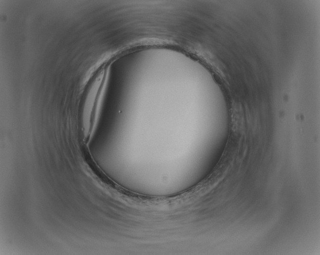 X0000073990015200609111545