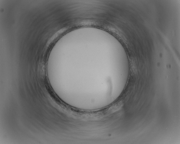 X0000073990016200609111545