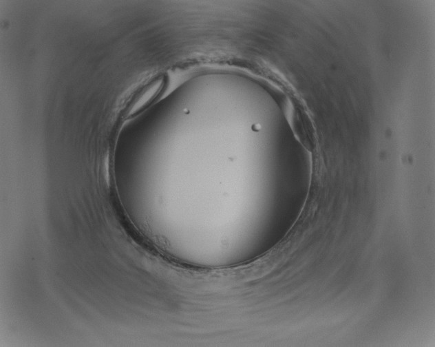 X0000073990019200609111544