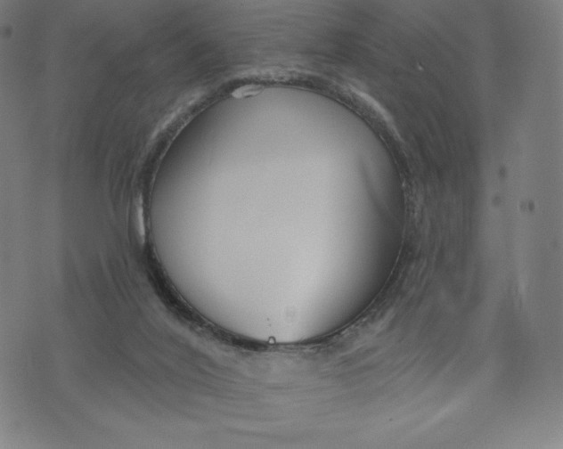 X0000073990020200609111544