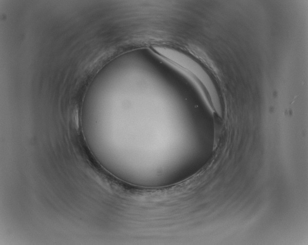 X0000073990021200609111544