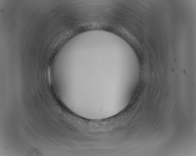 X0000073990022200609111544