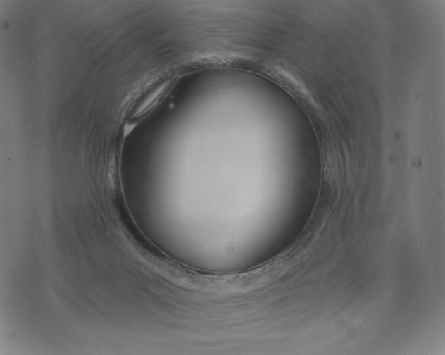 X0000073990023200609111544