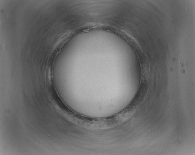 X0000073990024200609111544