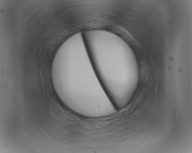 X0000073990025200609111544