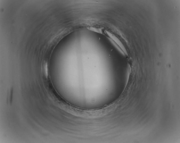 X0000073990027200609111544