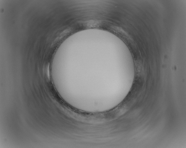 X0000073990028200609111544