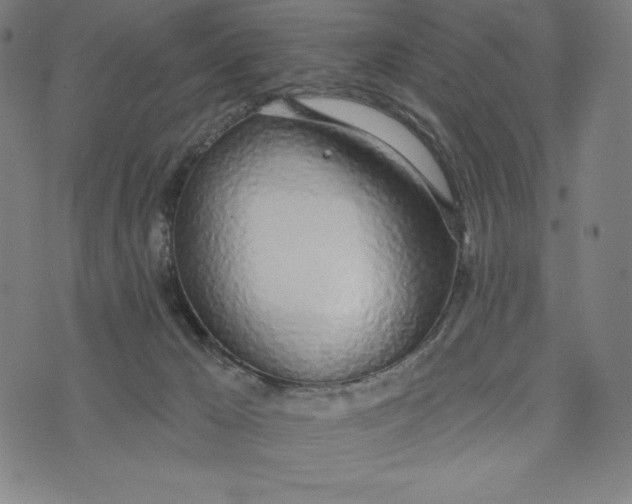 X0000073990029200609111544