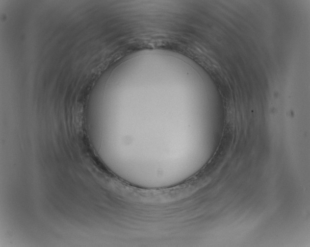 X0000073990030200609111544