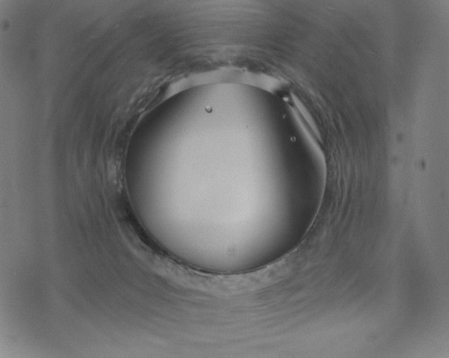 X0000073990031200609111544