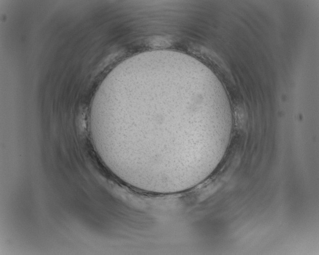 X0000073990032200609111544