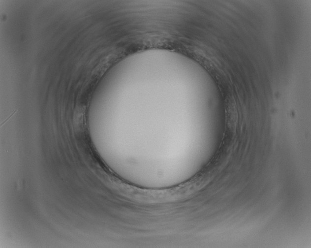 X0000073990034200609111544