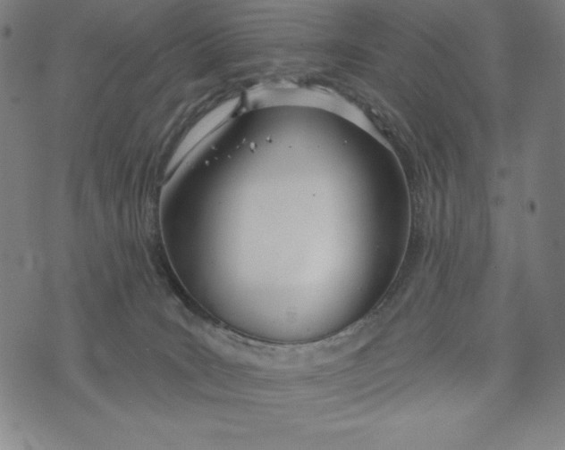 X0000073990035200609111544