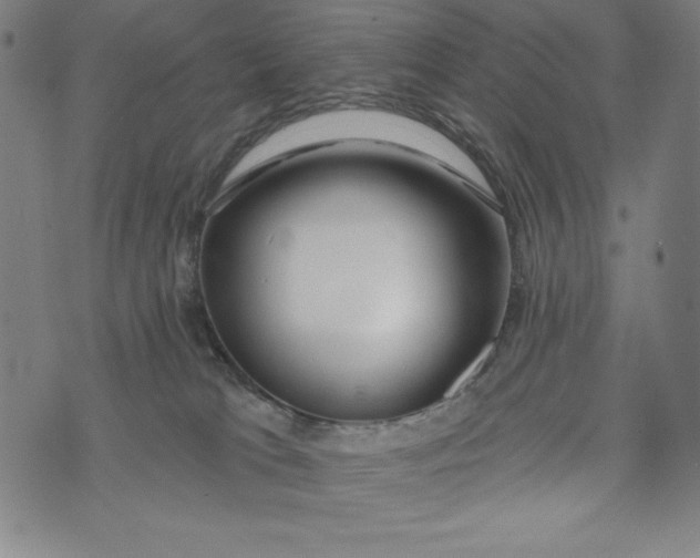 X0000073990037200609111544