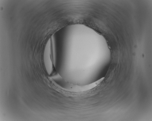 X0000073990039200609111544