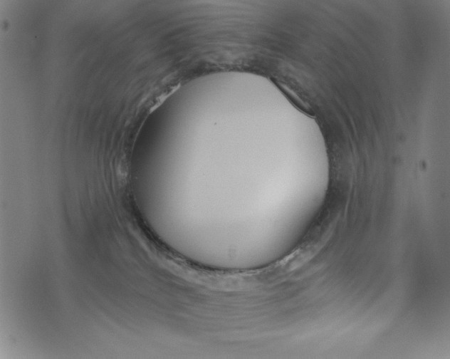 X0000073990040200609111544