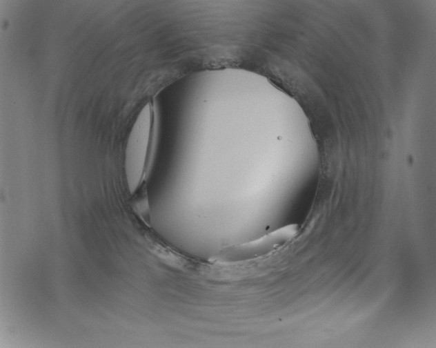 X0000073990041200609111544