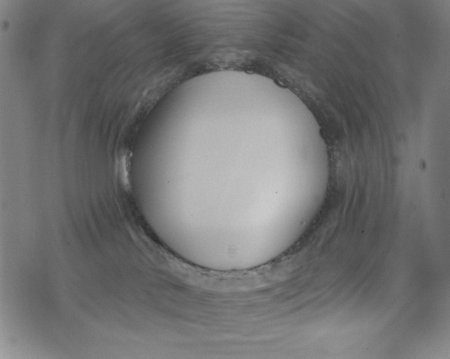 X0000073990042200609111544